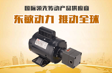 东莞市东敏电机有限公司