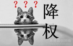 史上最全网站降权原因解析