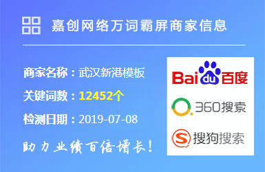 武汉新港模板万词霸屏项目案例