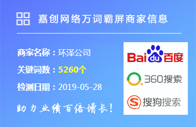 环泽公司万词霸屏项目案例