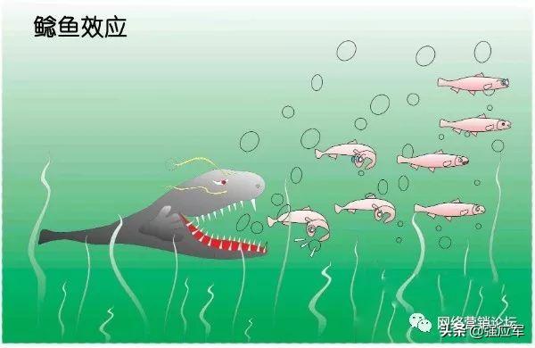 营销经济学的8个理论！您知道吗？