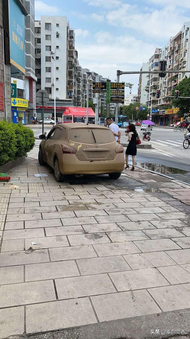 东莞两百年一遇特大暴雨，水淹车报案超20000笔，保险公司要哭晕