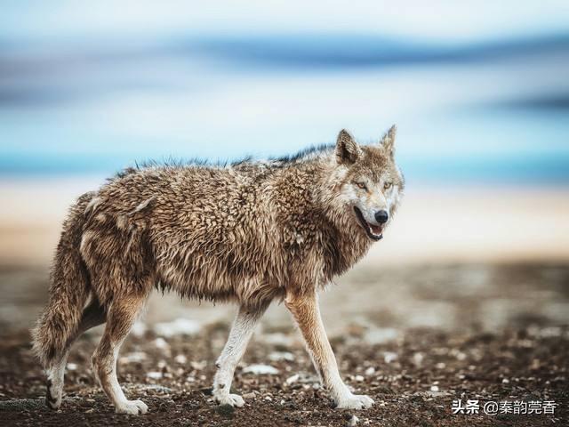 时刻提醒孩子：危险无处不在，切勿盲目冒险